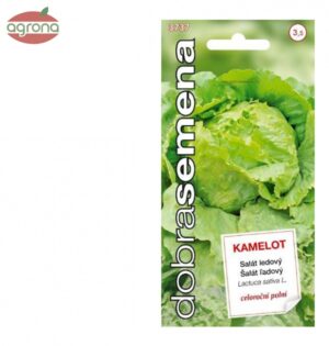 Šalát ľadový DS Kamelot celoročný 0,4g