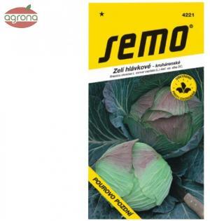 Kapusta neskorá SM Pourovo pozdní 0,6g