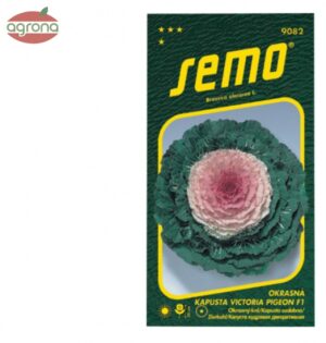 Kel okrasný SM Victoria Pigeon F1 20sem.