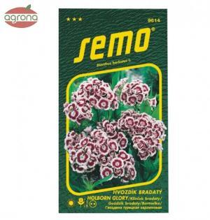 Klinček turecký SM Holborn Glory 0,5g