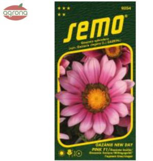 Gazánia SM New Day Pink F1