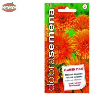 Nechtík lekársky DS Plamen plus -  liečivka, 1 g