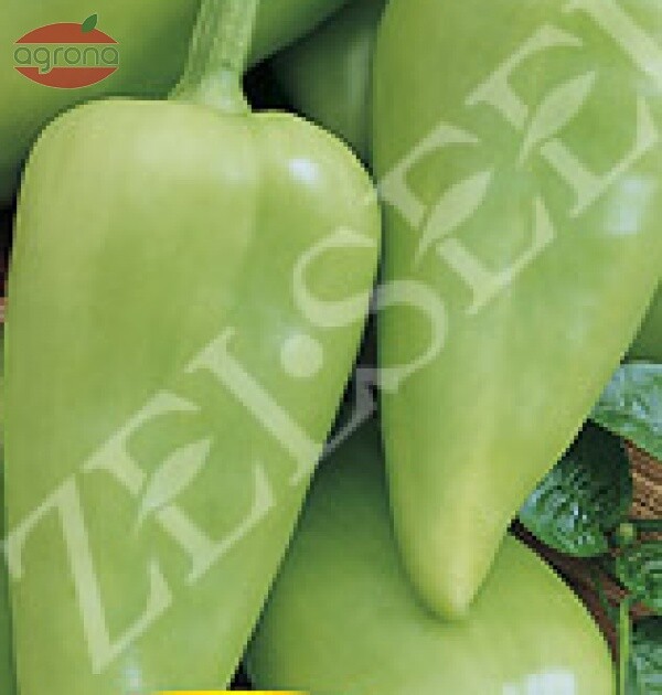 Paprika rýchlená ZS Pikanta 10g