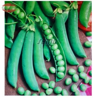 Hrach záhradný SM Alderman 1kg