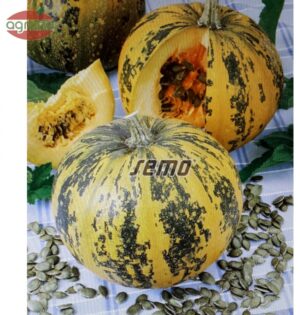 Tekvica olejná SM Eso 1kg