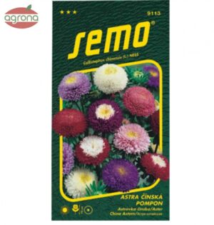 Astra čínska SM Pompon zmes 0,5g