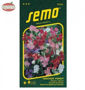 Hrachor nízky SM Cupidon voňavý 2g