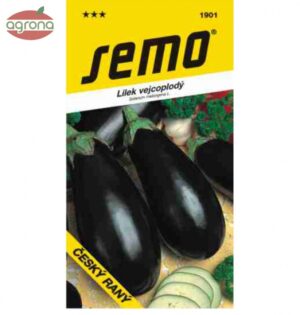 Baklažán SM Český ranný