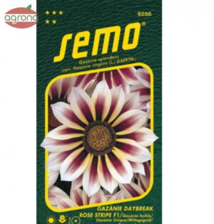 Gazánia lesklá SM Daybreak Rose Stripe 15sem.