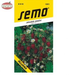 Jahody mesačné SM Rujana 0,2g