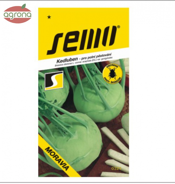 Kaleráb biely skorý SM Moravia 0,5g