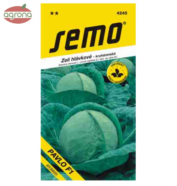 Kapusta neskorá SM Pavlo F1 0,8g
