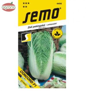 Kapusta pekingská SM Concord F1 50sem.