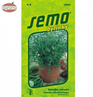 Saturejka záhradná SM Satureja hortensis