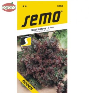 Šalát listový SM Roden - kučeravý 0,6g