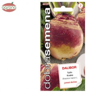 Kvaka DS Dalibor, 2 g