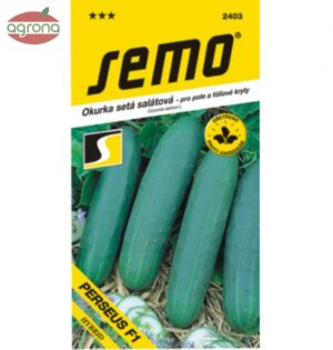Uhorka šalátová SM Perseus F1 1,3g