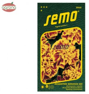 Aksamietnica rozložitá SM Bonanza Bee F1 30 sem.