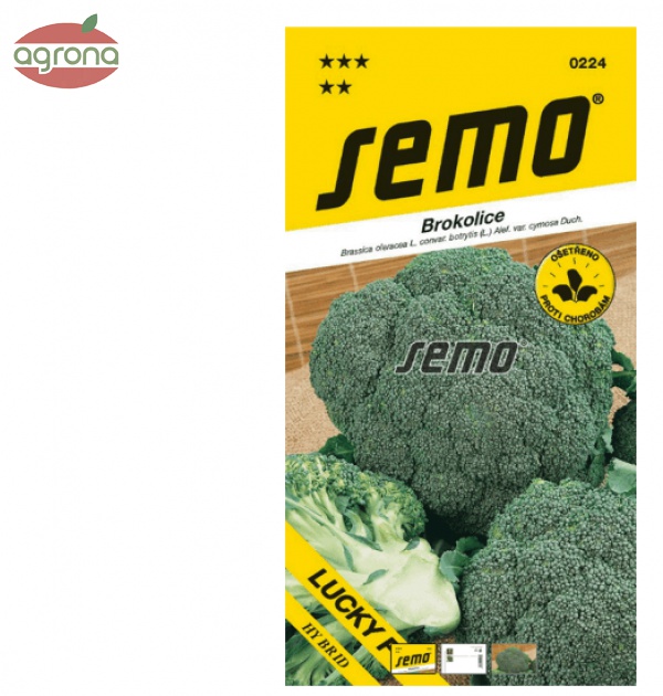 Brokolica SM Lucky F1 40 sem.