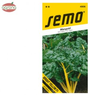 Mangold listový SM Bright Yellow F1- zelený 3g