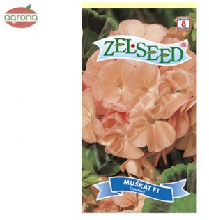 Muškát zonale ZS lososovo ružový F1 8semien
