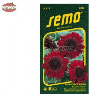 Slnečnica ročná SM červená 2g