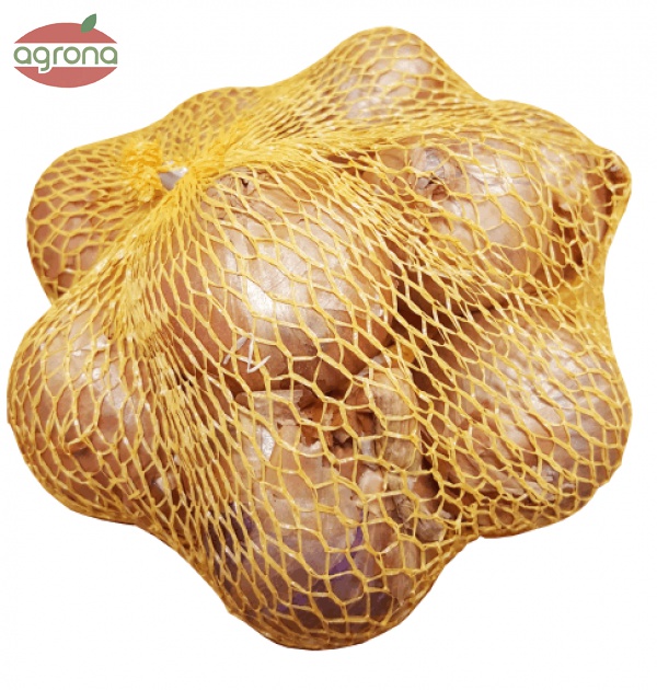 Cibuľka sadzačka Red Sun 250g 7-14mm šalotka červená