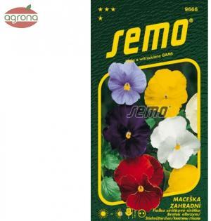 Viola veľkokvetá SM zmes bez oka 0,3g
