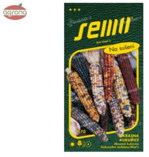 Kukurica okrasná SM Multicolor 4g