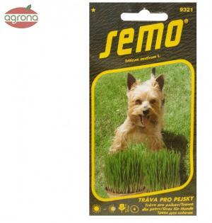 Tráva pre psíkov SM Genius 10g