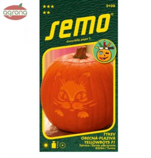 Tekvica okrasná SM Yellowboys F1-na Halloween 3g
