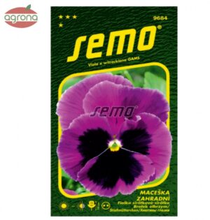 Viola veľkokvetá SM Mistral S1 ružová s okom 35sem.