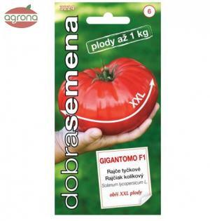 Rajčiak kolíkový DS Gigantomo F1  biftekový, MAXI  10 sem.