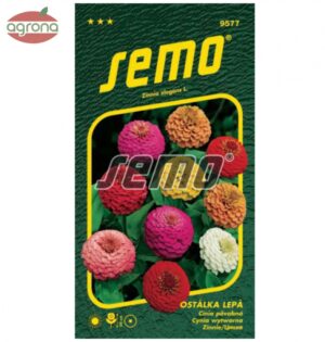 Cínia pomponkovitá SM Double Liliput zmes, 0,7g