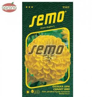 Cínia SM Canary Bird, žltá, 0,7g