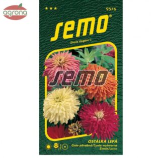 Cínia SM Kaktusová veľkokvetá zmes, 0,7g