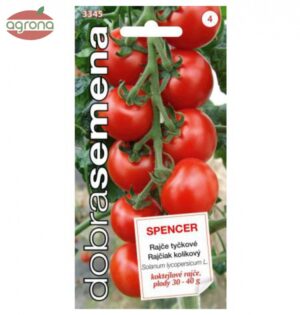 Rajčiak kolíkový DS Spencer  - kokteilový, 30 semien