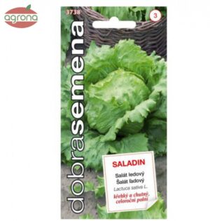 Šalát ľadový DS Saladin celoročný, 0,6 g