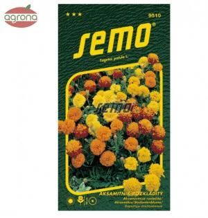 Aksamietnica rozložitá SM Petit zmes, 1 g