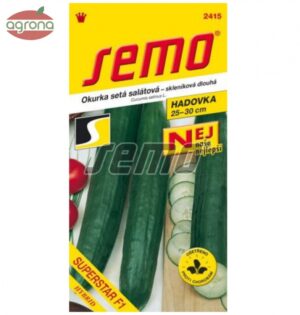 Uhorka skleníková SM Superstar F1 dlhá NAŠE NAJ  10s.