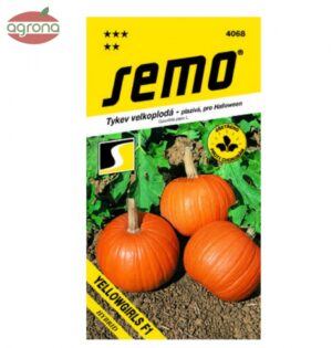 Tekvica okras. SM Yellowgirls F1 DEKORÁCIA na Halloween aj varenie 3g 9198