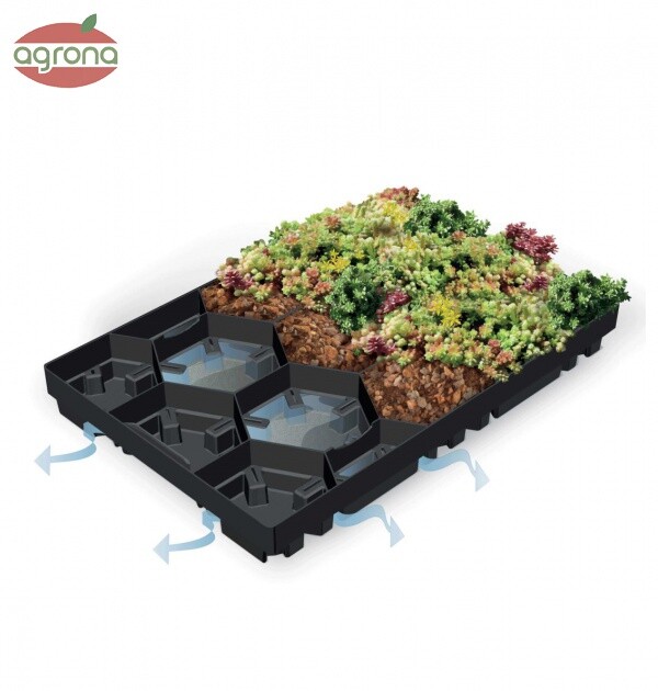 Ecosedum Pack 65 60 x 40 x 7,5 cm voľné bez rastlín