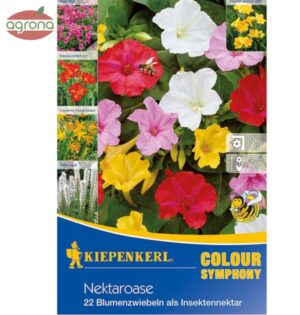 Nektárová oáza zmes cibúľ, 22ks, 1, 6/+, 8/10, 5/6, 30-60cm