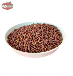 Peluška jarná semeno čistota 98%, kŕmna