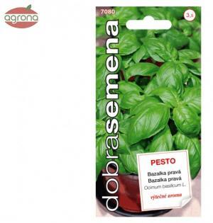 Bazalka DS Pesto - typ Genovese, 0,30 g