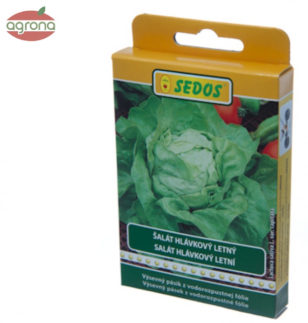 Výsevný pásik Šalát letný Lento 5m 50s