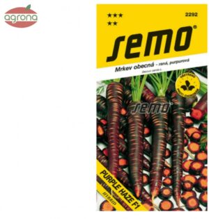 Mrkva fialová SM Purple Haze F1 350s.
