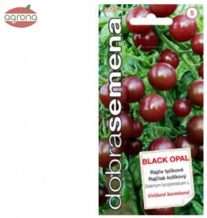 Rajčiak kolíkový DS Black Opal 10sem.