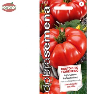 Rajčiak kolíkový DS Costoluto Fiorentino 50sem.