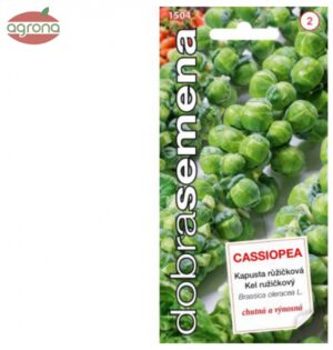 Kel ružičkový DS Cassiopea 0,7g